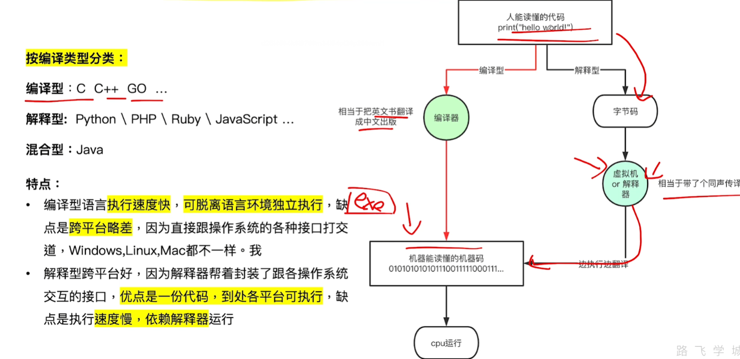 image-20220617203450149