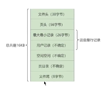 image-20221008004907261