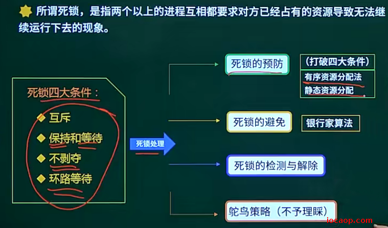 image-20240419002219089