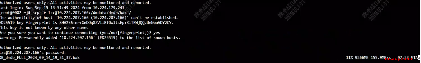 image-20240915141725574