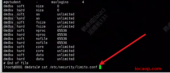 image-20240916201648702