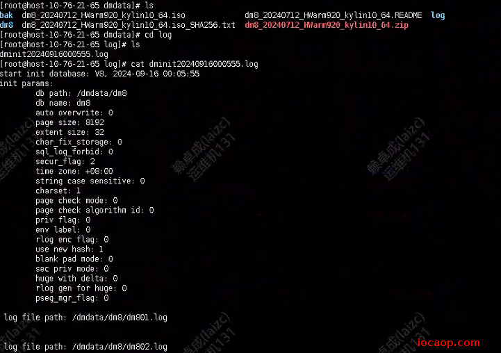 image-20240916203718592
