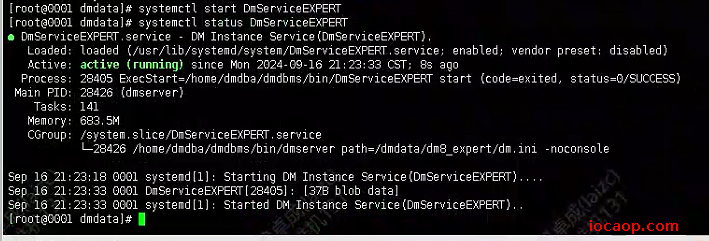 image-20240916212408494