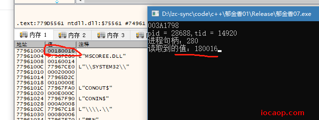 image-20250403143816256